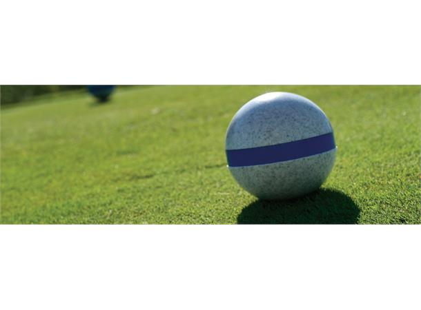 Banded Tee Marker, Sand Granite With Silver Band PA663-08